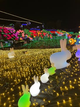 伊豆ぐらんぱる公園に投稿された画像（2022/12/10）