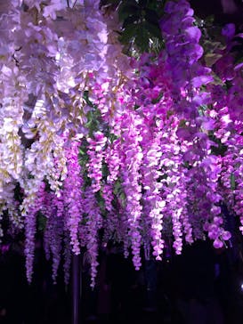 東京メガイルミに投稿された画像（2022/12/10）