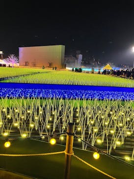 東京メガイルミに投稿された画像（2022/12/10）