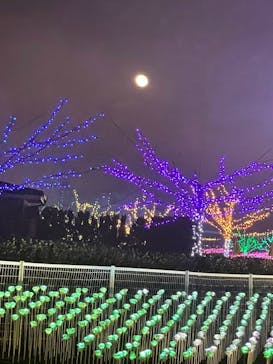 東京メガイルミに投稿された画像（2022/12/10）