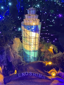 江の島シーキャンドルに投稿された画像（2022/12/10）