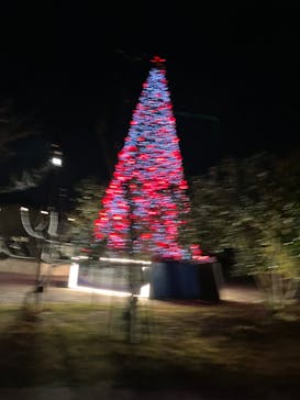 NESTA RESORT KOBE（ネスタリゾート神戸）に投稿された画像（2022/12/10）