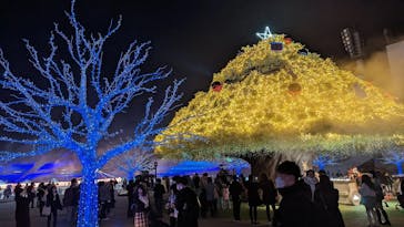 東京メガイルミに投稿された画像（2022/12/10）