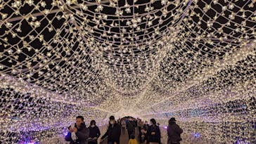 東京メガイルミに投稿された画像（2022/12/10）