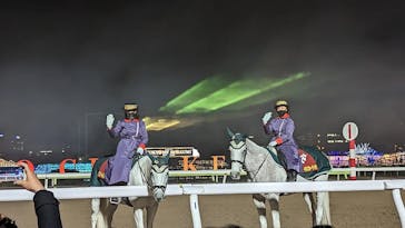 東京メガイルミに投稿された画像（2022/12/10）