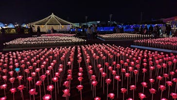 東京メガイルミに投稿された画像（2022/12/10）