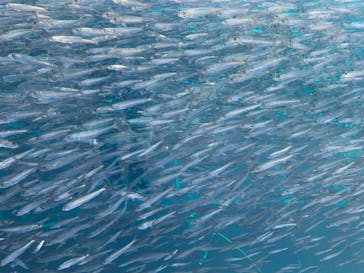 環境水族館アクアマリンふくしまに投稿された画像（2022/12/10）