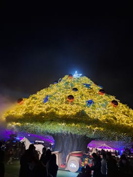 東京メガイルミに投稿された画像（2022/12/10）