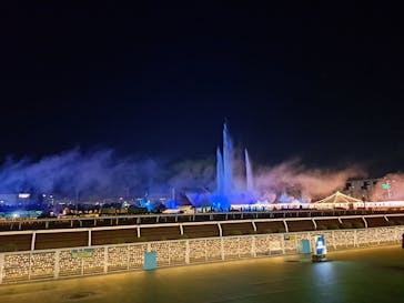 東京メガイルミに投稿された画像（2022/12/10）