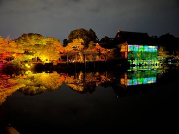 NAKEDヨルモウデ2022平安神宮に投稿された画像（2022/12/10）