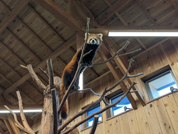 伊豆シャボテン動物公園に投稿された画像（2022/12/10）