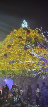 東京メガイルミに投稿された画像（2022/12/10）