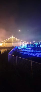 東京メガイルミに投稿された画像（2022/12/10）