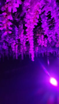 東京メガイルミに投稿された画像（2022/12/10）