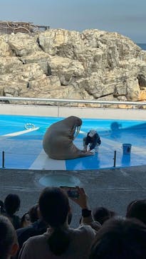 大分マリーンパレス水族館 「うみたまご」に投稿された画像（2022/12/10）