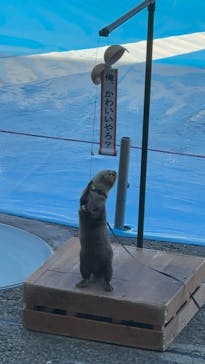 大分マリーンパレス水族館 「うみたまご」に投稿された画像（2022/12/10）