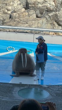 大分マリーンパレス水族館 「うみたまご」に投稿された画像（2022/12/10）