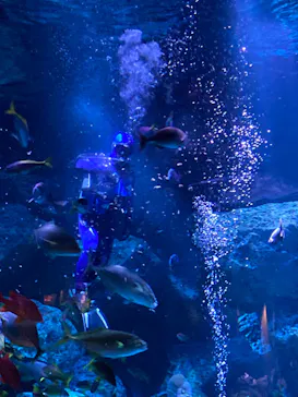 すみだ水族館に投稿された画像（2022/12/10）