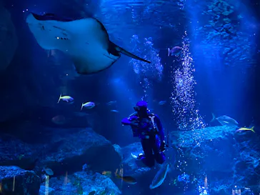 すみだ水族館に投稿された画像（2022/12/10）