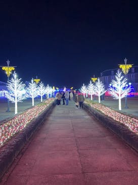 神戸イルミナージュに投稿された画像（2022/12/10）