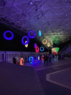 神戸イルミナージュに投稿された画像（2022/12/10）