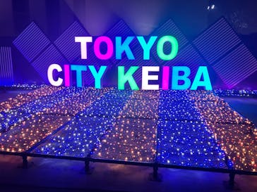 東京メガイルミに投稿された画像（2022/12/10）