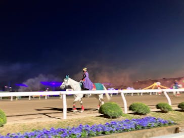 東京メガイルミに投稿された画像（2022/12/10）