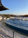 京都水族館に投稿された画像（2022/12/10）