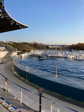 京都水族館に投稿された画像（2022/12/10）