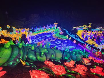 伊豆ぐらんぱる公園に投稿された画像（2022/12/10）