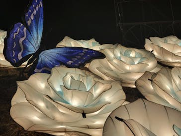 伊豆ぐらんぱる公園に投稿された画像（2022/12/10）