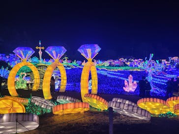 伊豆ぐらんぱる公園に投稿された画像（2022/12/10）