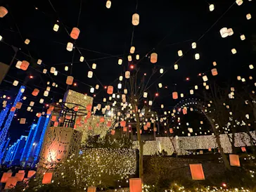 ひらかたパークに投稿された画像（2022/12/10）