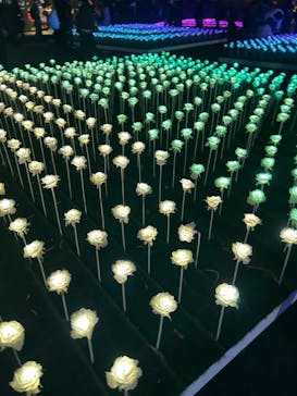 東京メガイルミに投稿された画像（2022/12/10）