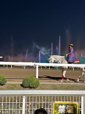 東京メガイルミに投稿された画像（2022/12/10）