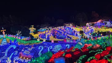 伊豆ぐらんぱる公園に投稿された画像（2022/12/10）