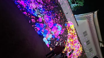 福山城400年博-FUKUYAMA CASTLE EXPO 2022- RCC開局70年 「チームラボ 福山城 光の祭」に投稿された画像（2022/12/10）
