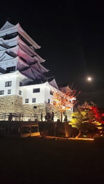 福山城400年博-FUKUYAMA CASTLE EXPO 2022- RCC開局70年 「チームラボ 福山城 光の祭」に投稿された画像（2022/12/10）