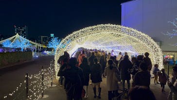 東京メガイルミに投稿された画像（2022/12/10）