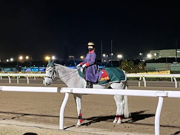 東京メガイルミに投稿された画像（2022/12/10）