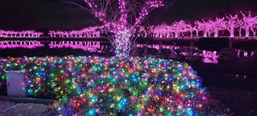 東武動物公園に投稿された画像（2022/12/10）