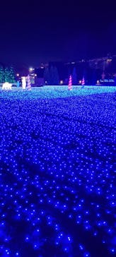 東武動物公園に投稿された画像（2022/12/10）