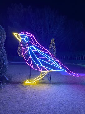 神戸イルミナージュに投稿された画像（2022/12/10）