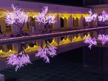 神戸イルミナージュに投稿された画像（2022/12/10）