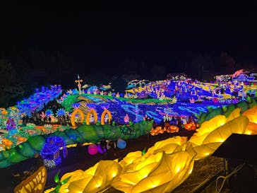 伊豆ぐらんぱる公園に投稿された画像（2022/12/10）