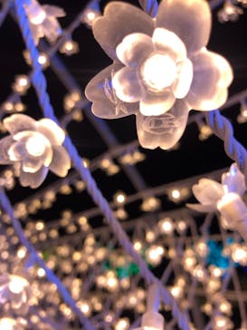 東京メガイルミに投稿された画像（2022/12/10）