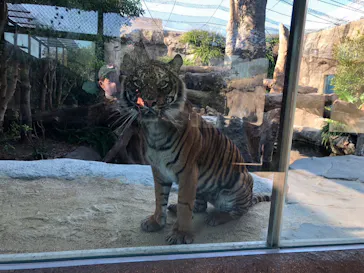 神戸どうぶつ王国に投稿された画像（2022/12/10）