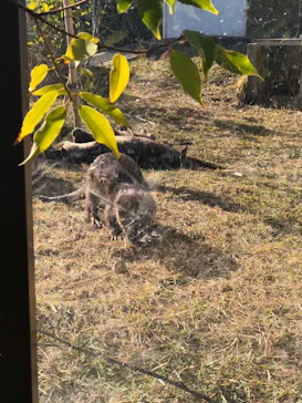 神戸どうぶつ王国に投稿された画像（2022/12/10）