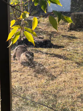 神戸どうぶつ王国に投稿された画像（2022/12/10）