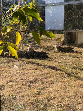 神戸どうぶつ王国に投稿された画像（2022/12/10）